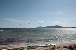 kites
