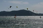 kites
