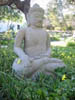 Buddah