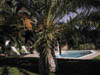 Pool_4