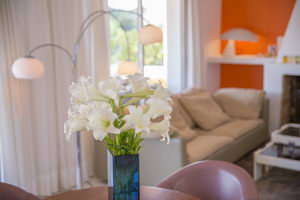 villa / finca  25
