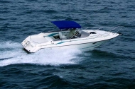 Sunseeker Hawk