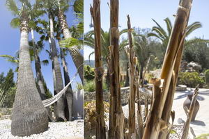 villa / finca  38