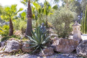 villa / finca  39