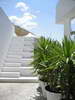ibiza-white-house