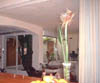 wohnraum2