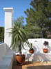 bild1