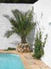 bild3