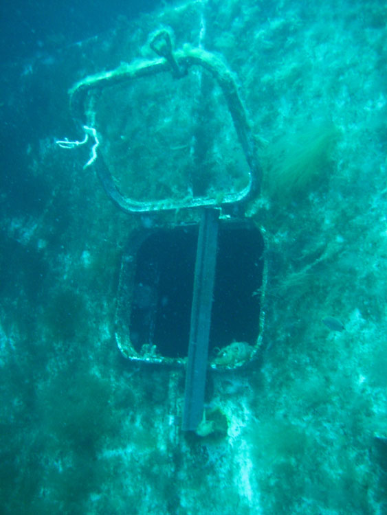 100-4311_IMG