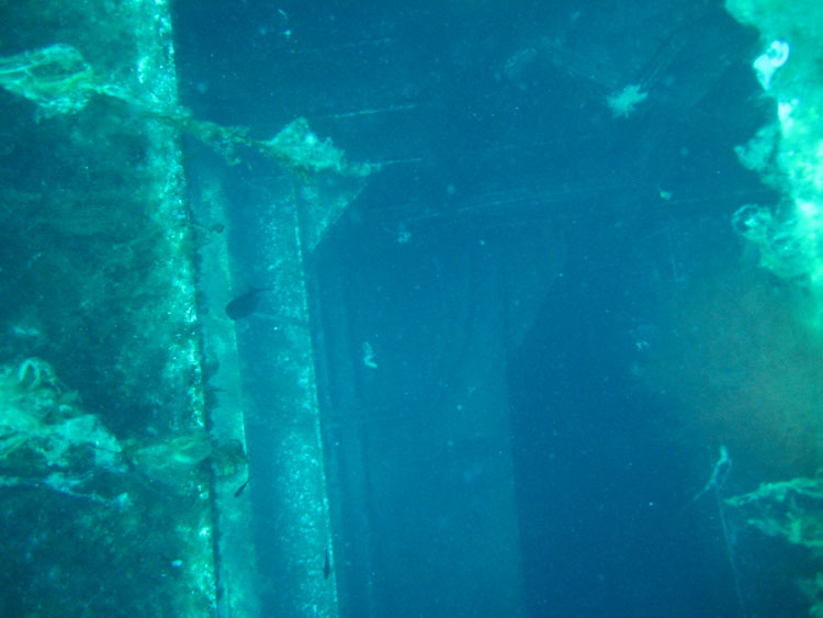100-4351_IMG