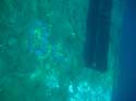 100-4358_IMG