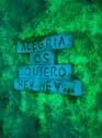 100-4503_IMG