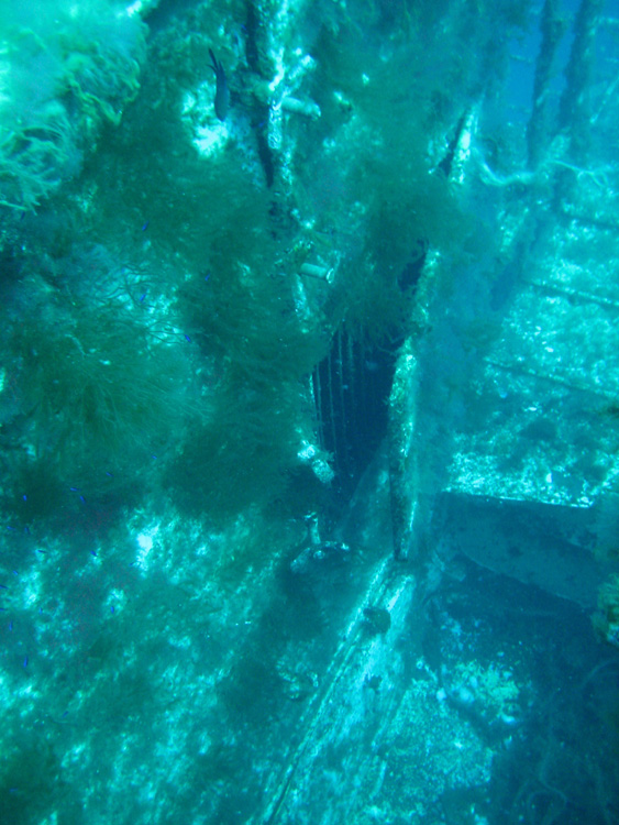 100-4697_IMG