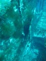 100-4697_IMG