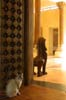 ibiza_villa_marrakesch (26)