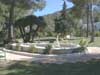 Pool Siesta_7