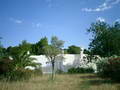 Ibiza Finca Can Ino