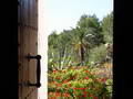 finca_ibiza_10