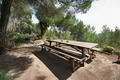 Finca Can Am Ibiza 8